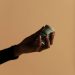Lutte contre la corruption par les organes de transition au Burkina Faso et au Niger : un outil de légitimation politique ?